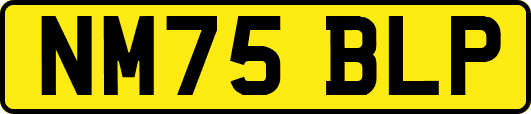 NM75BLP
