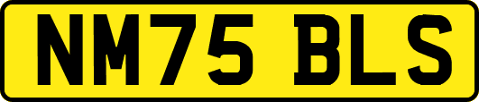 NM75BLS