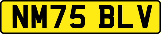 NM75BLV