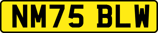 NM75BLW