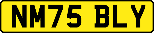 NM75BLY
