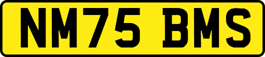 NM75BMS