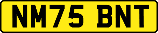 NM75BNT