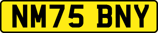 NM75BNY