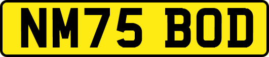 NM75BOD