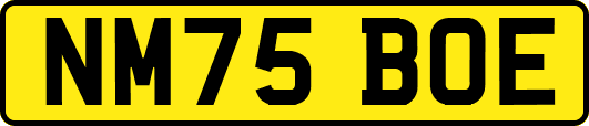 NM75BOE