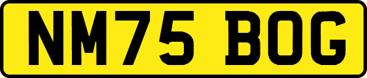 NM75BOG