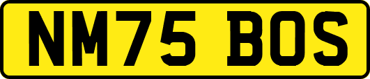 NM75BOS