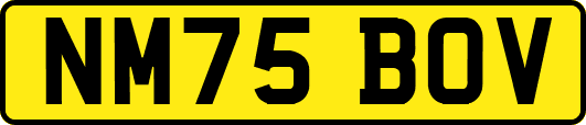 NM75BOV