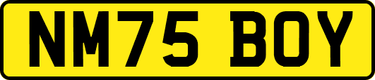NM75BOY
