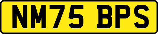 NM75BPS