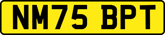 NM75BPT