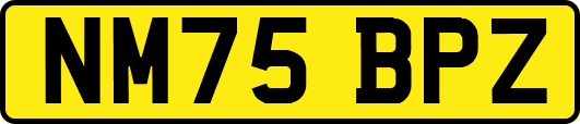 NM75BPZ