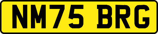 NM75BRG
