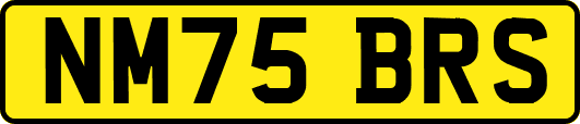 NM75BRS
