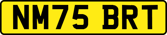 NM75BRT