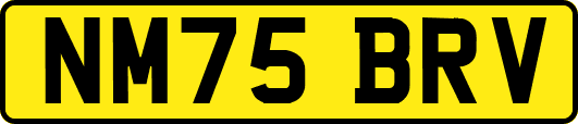 NM75BRV