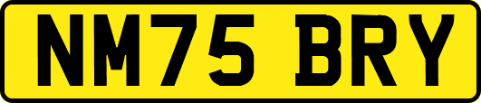 NM75BRY