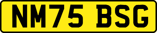 NM75BSG