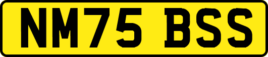NM75BSS