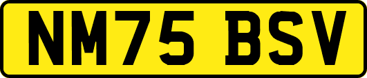 NM75BSV