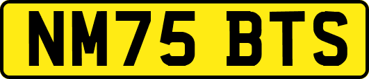 NM75BTS