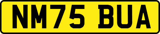NM75BUA