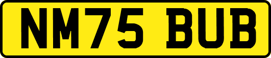 NM75BUB