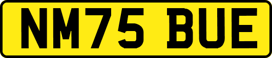 NM75BUE