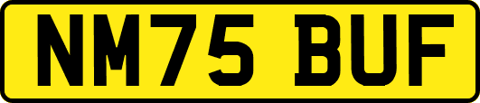 NM75BUF