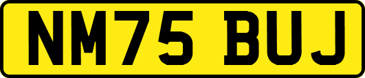 NM75BUJ