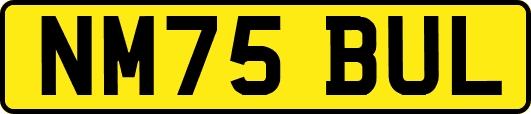 NM75BUL