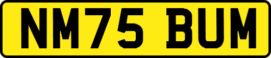NM75BUM
