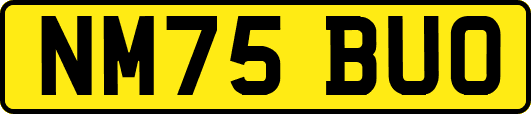NM75BUO