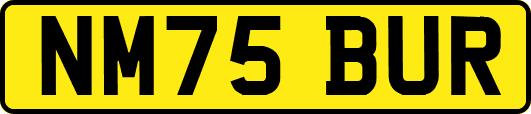 NM75BUR