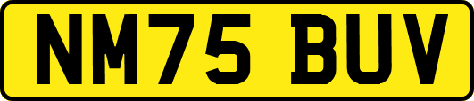 NM75BUV