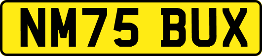 NM75BUX