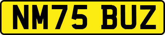 NM75BUZ