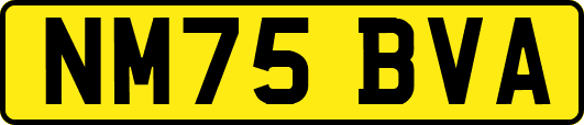 NM75BVA
