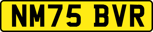 NM75BVR