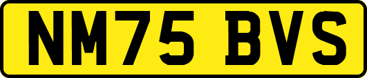 NM75BVS