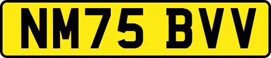 NM75BVV