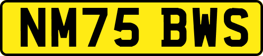 NM75BWS