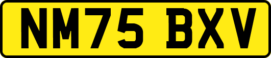 NM75BXV