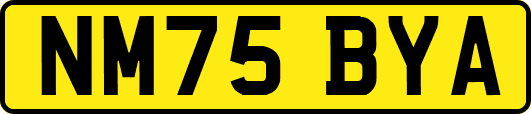 NM75BYA