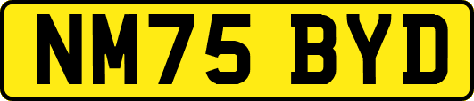 NM75BYD
