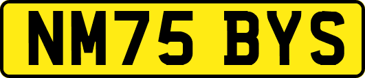 NM75BYS