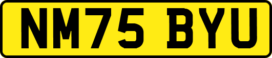 NM75BYU