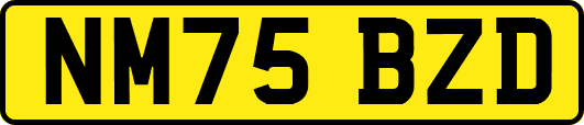 NM75BZD