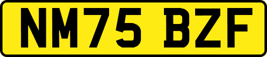 NM75BZF